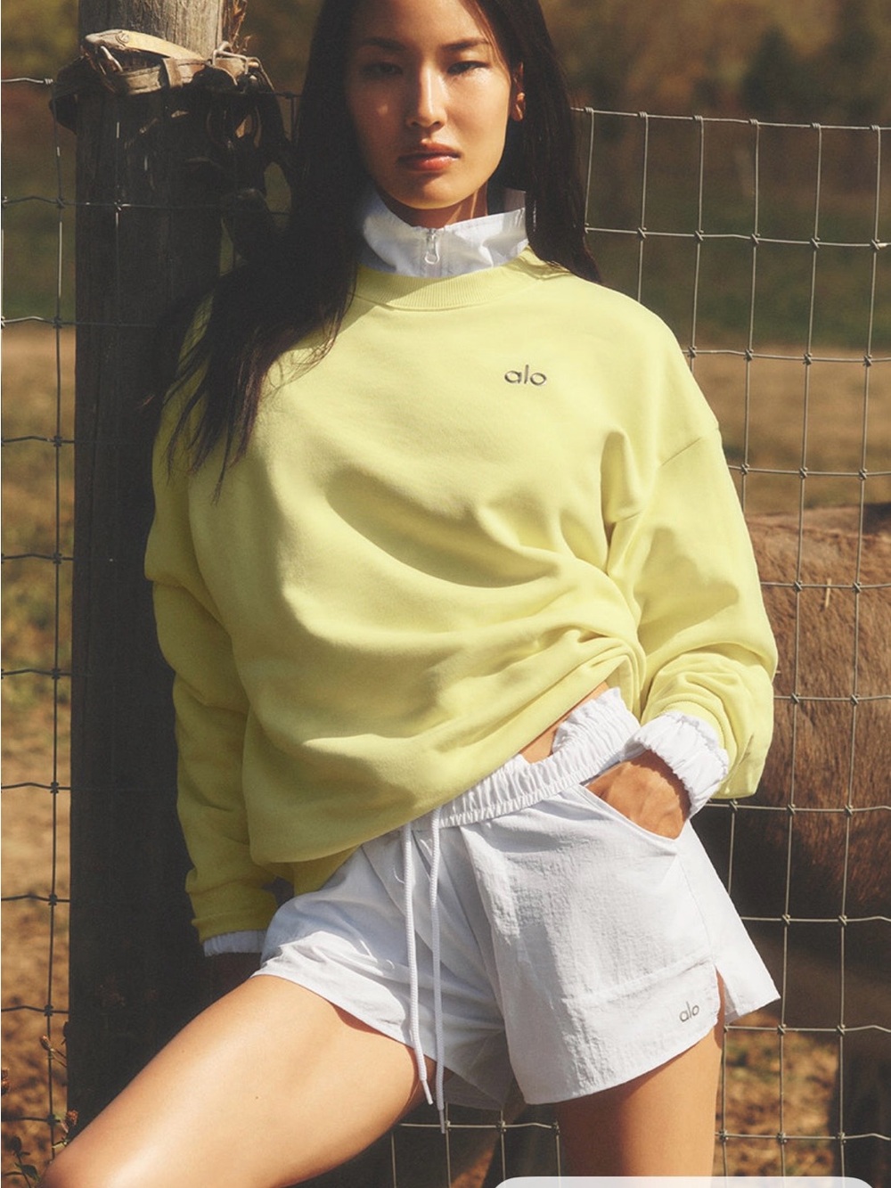 ALO Yoga Accolade Crewneck Sunshine | SOLD OUT | NWT